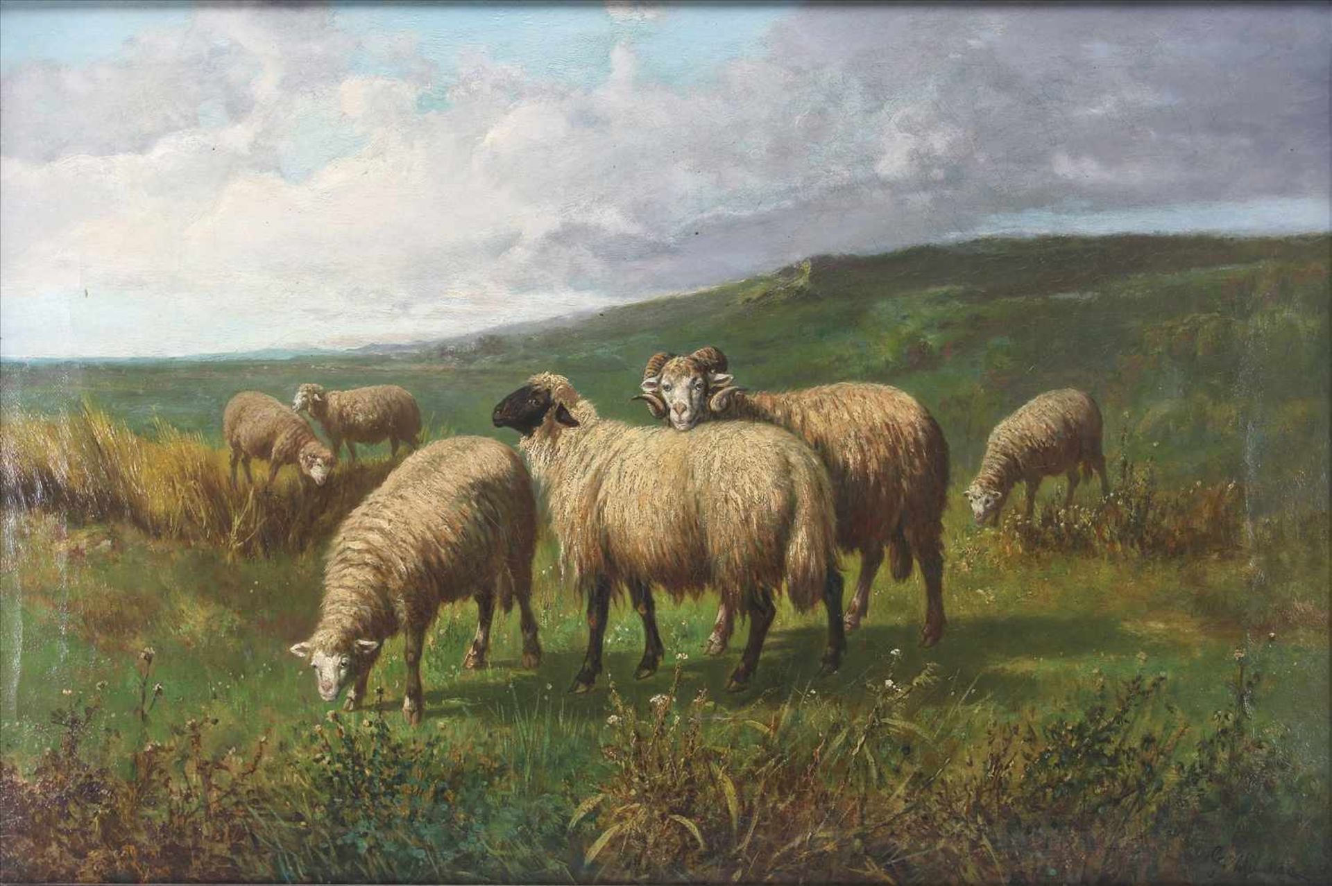 Milone, George IX/XXEngland. Schafe im Hochland. Öl auf Leinwand. Unten rechts signiert, am Rahmen