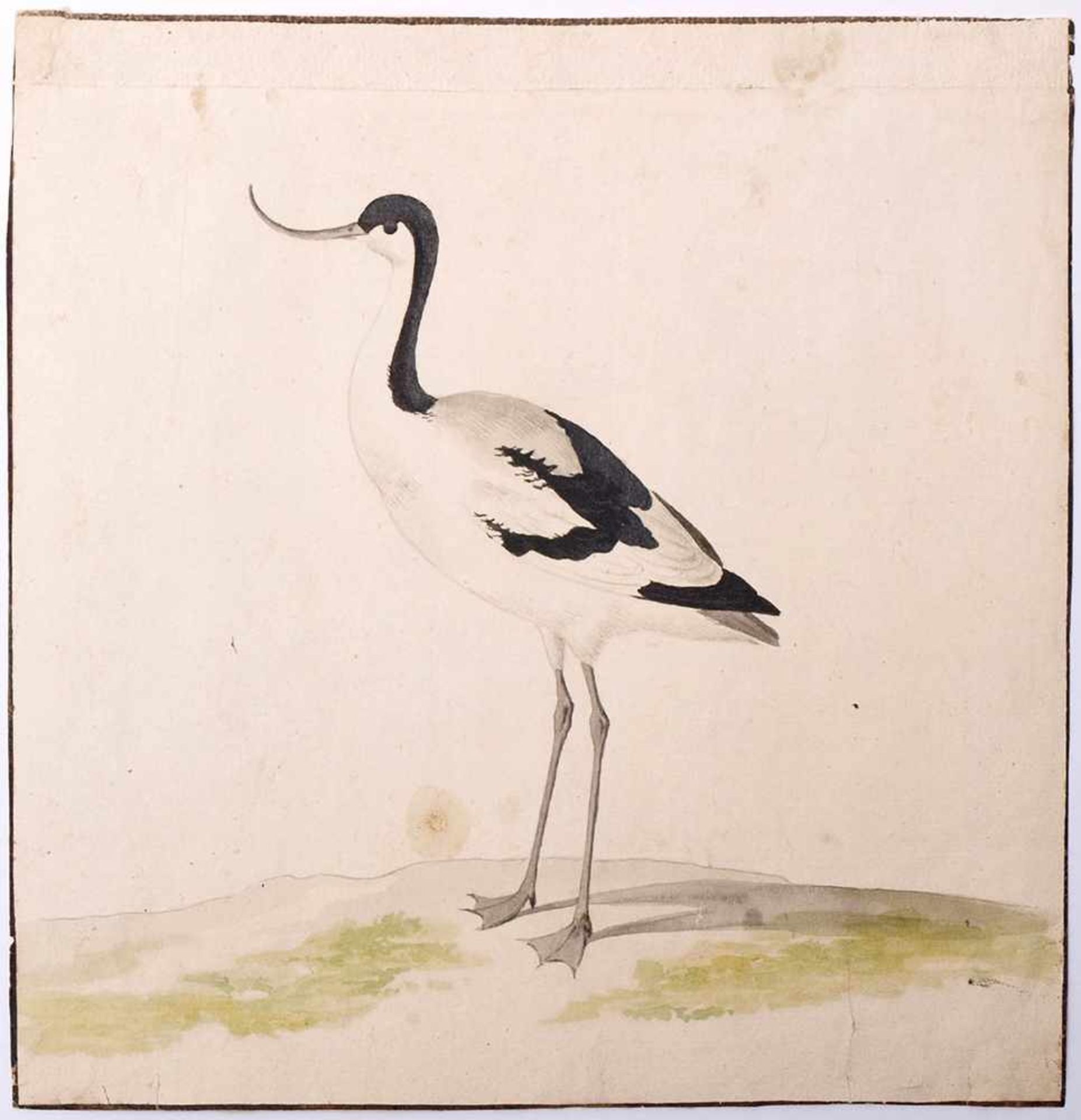 van Bronckorts, Jan Gerritsz attr.1601 Utrecht - 1661 Amsterdam. Vier Vogeldarstellungen. Aquarell - Bild 7 aus 13