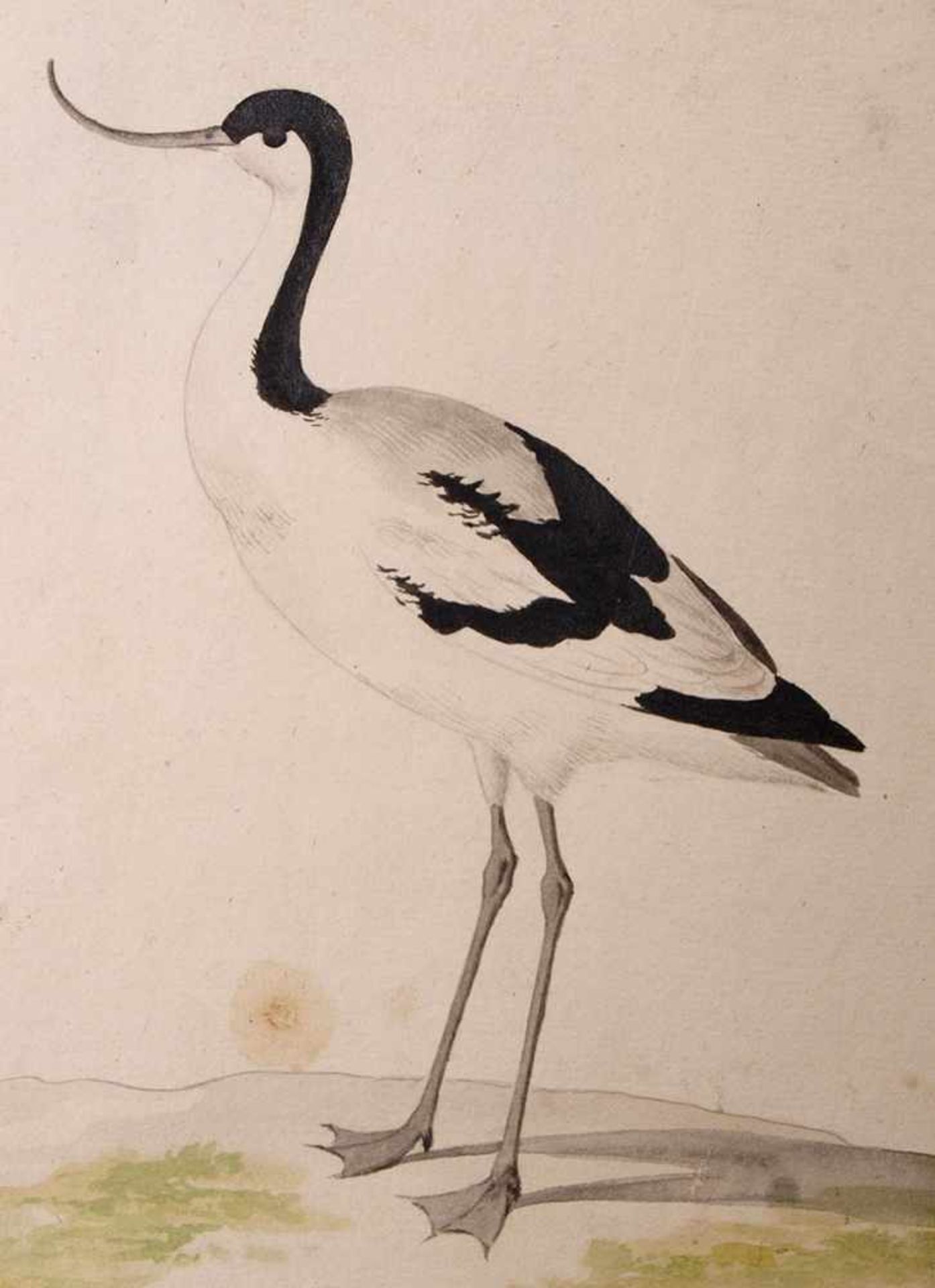 van Bronckorts, Jan Gerritsz attr.1601 Utrecht - 1661 Amsterdam. Vier Vogeldarstellungen. Aquarell - Bild 8 aus 13