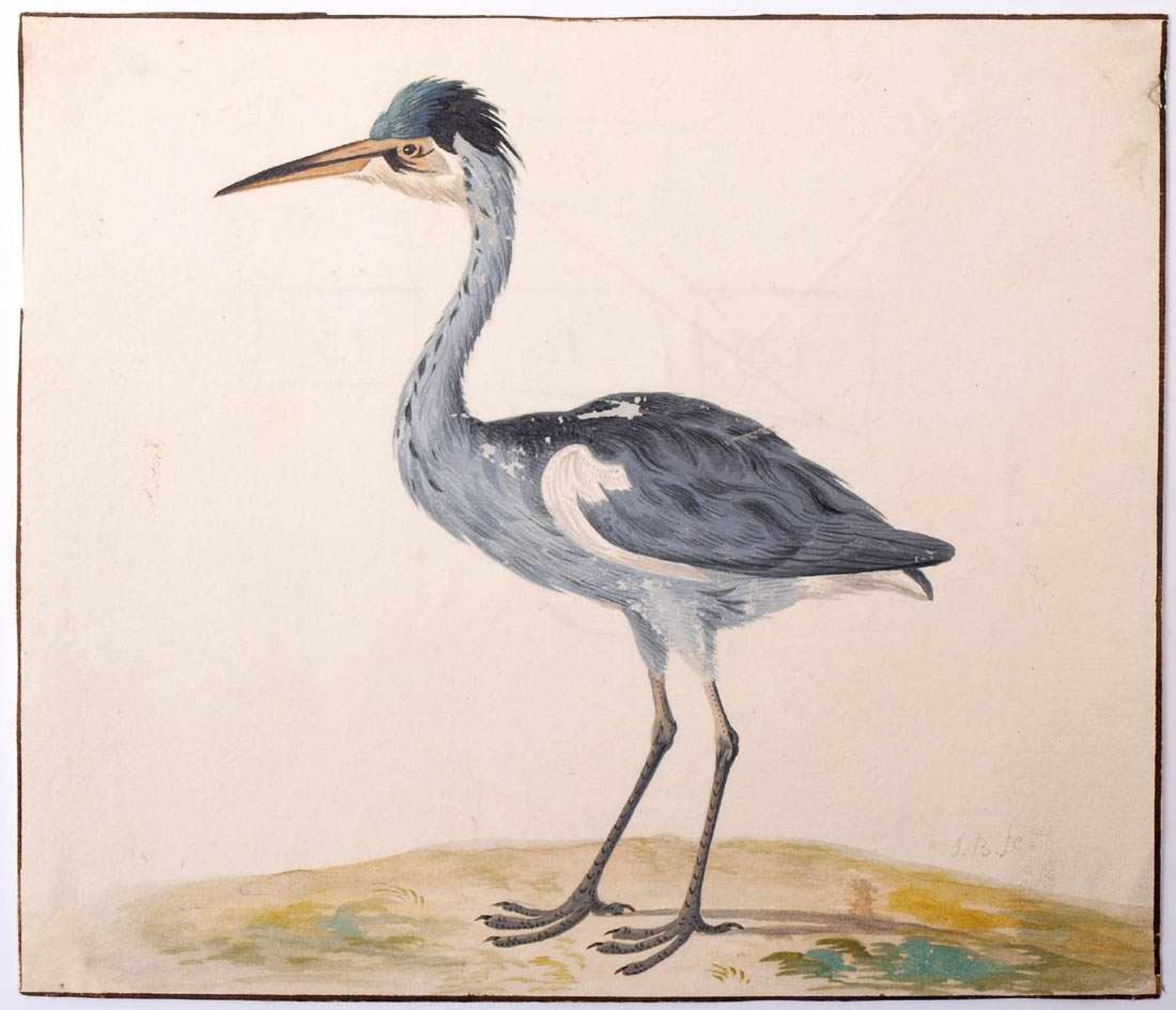 van Bronckorts, Jan Gerritsz attr.1601 Utrecht - 1661 Amsterdam. Vier Vogeldarstellungen. Aquarell