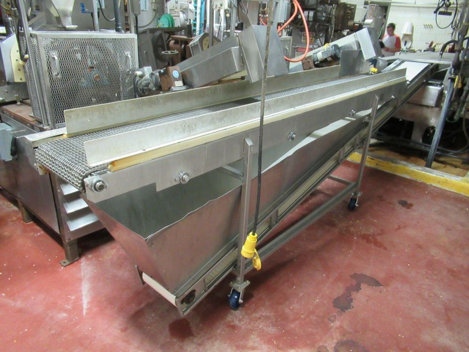 Fryer Infeed Conveyor