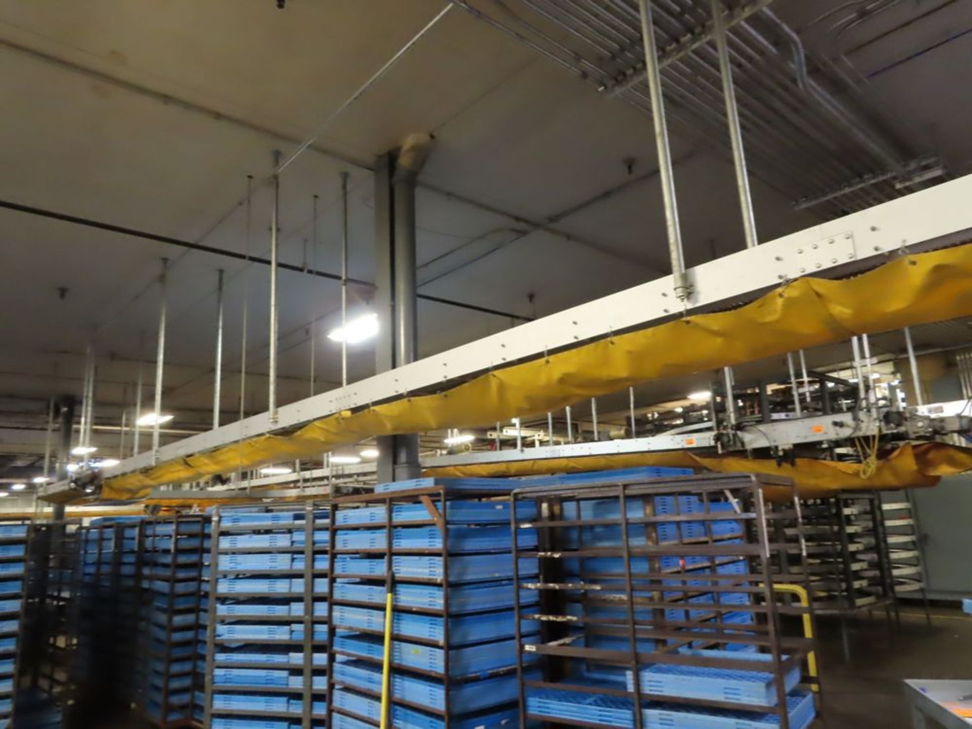 Bread Exit Conveyor - Image 3 of 5