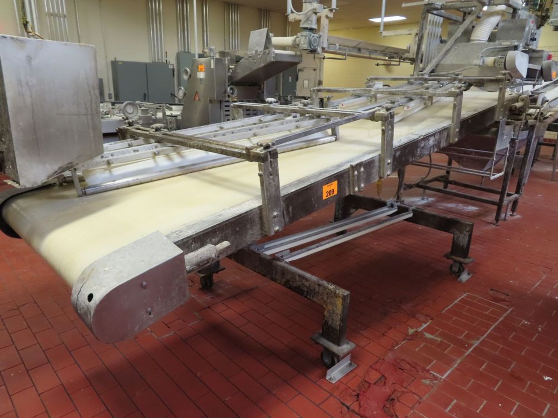 Divider/Molder Conveyor