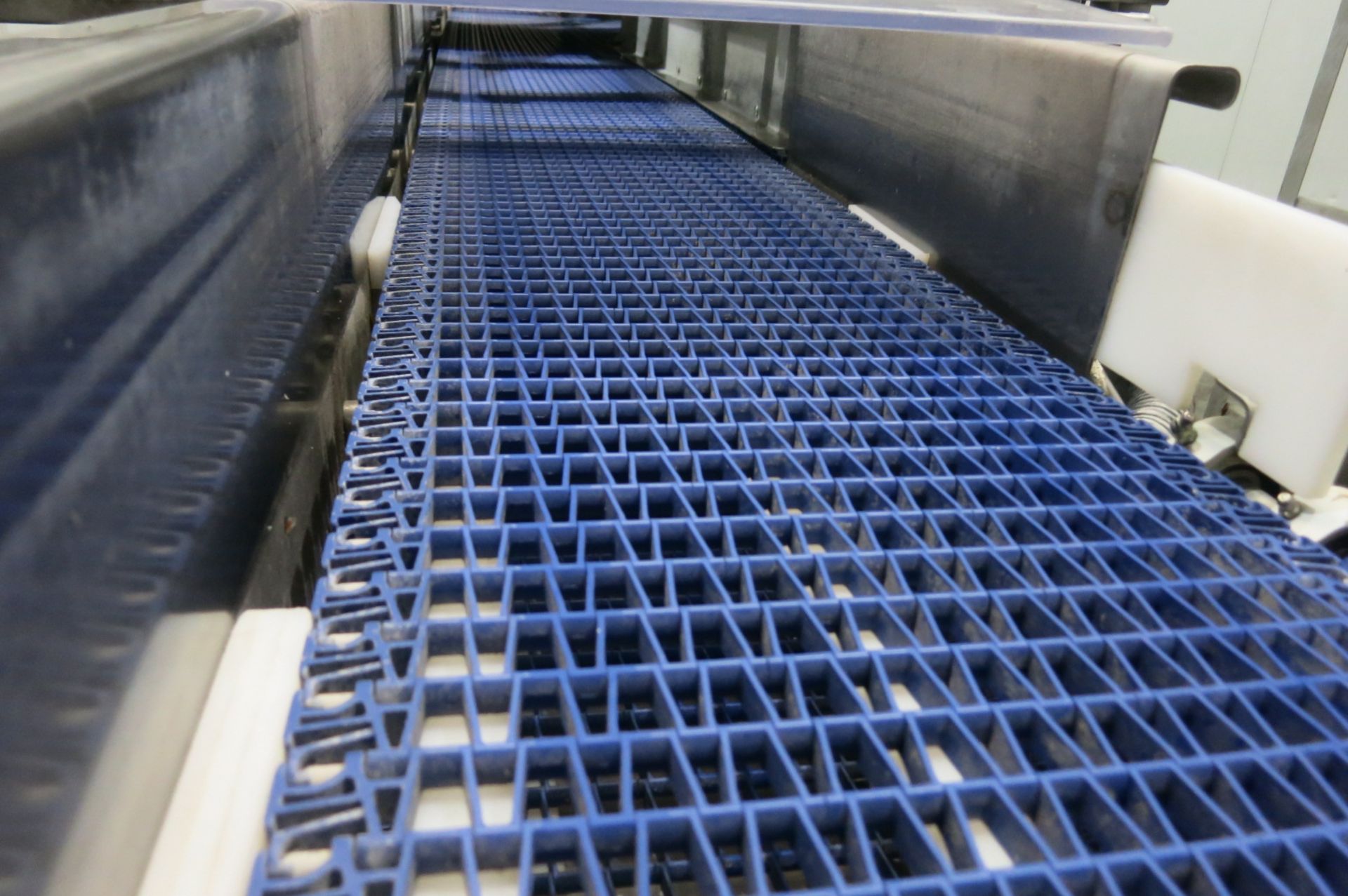 Belt Conveyor System - Image 2 of 7