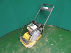 WACKER PETROL PLATE COMPACTOR