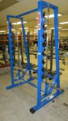 Panatta Sport Fantastic Smith Machine.