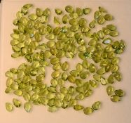 Natural Peridots. Shape Pear. Mixed Cut. Approximately 160. Colour Olive Green. Weight 76.10 Carats.