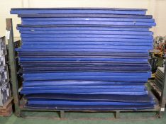 Assorted Gym Mat L1810xW1210xH30/50mm