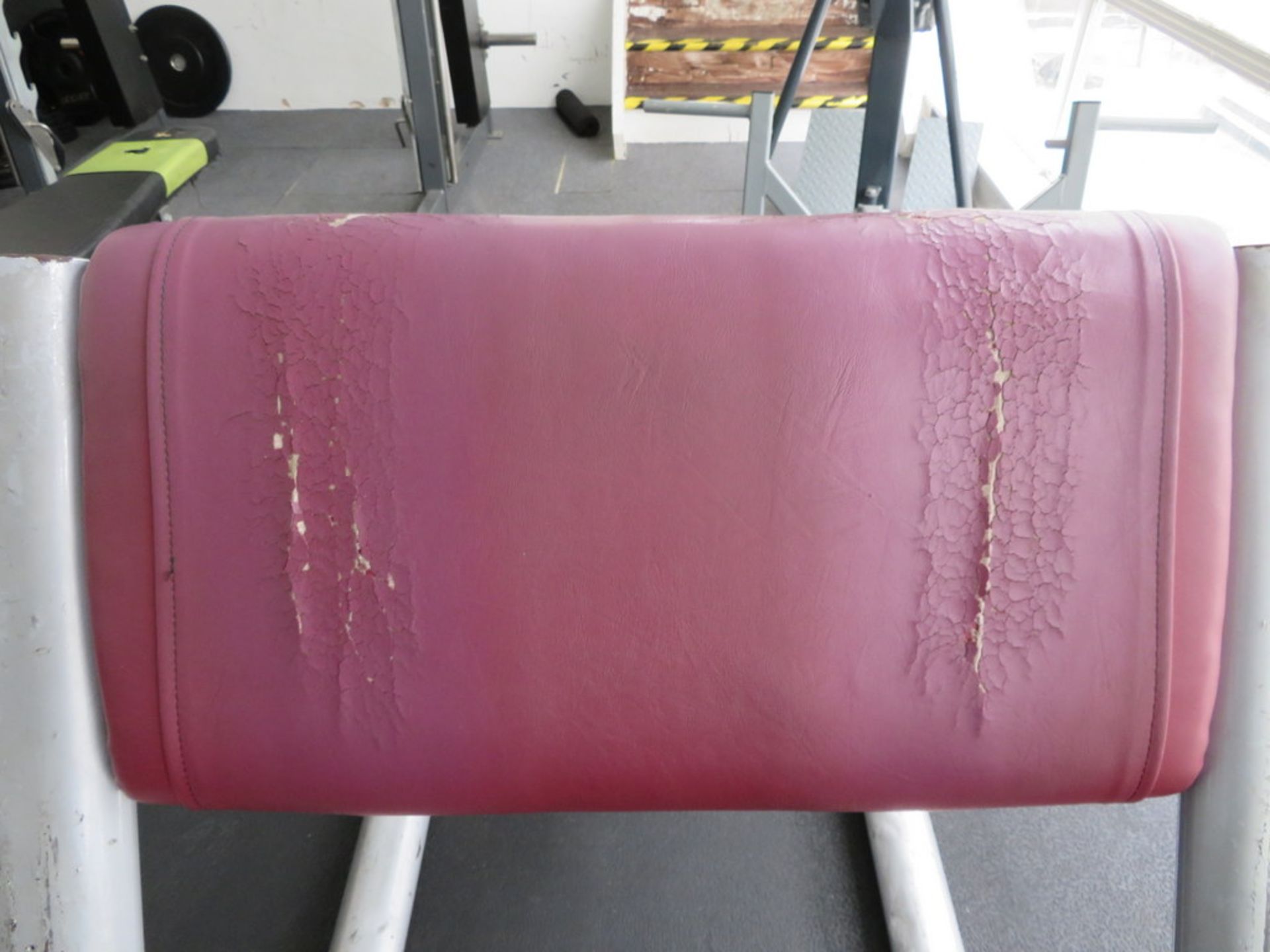 Escape Fitness Preacher Bench. - Image 3 of 3