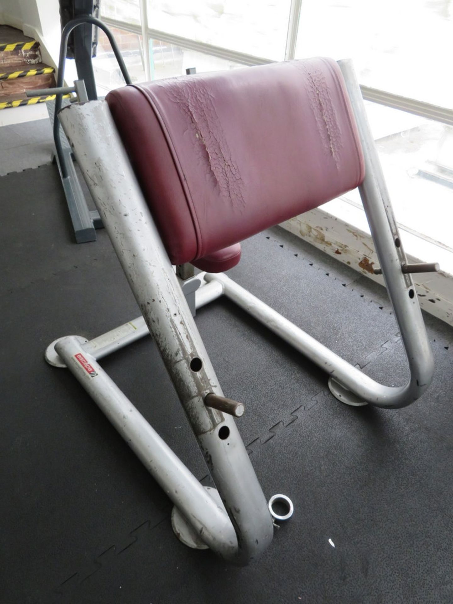 Escape Fitness Preacher Bench.