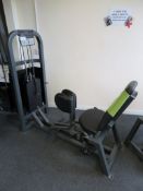 Life Fitness Weight Loaded Hip Adductor.
