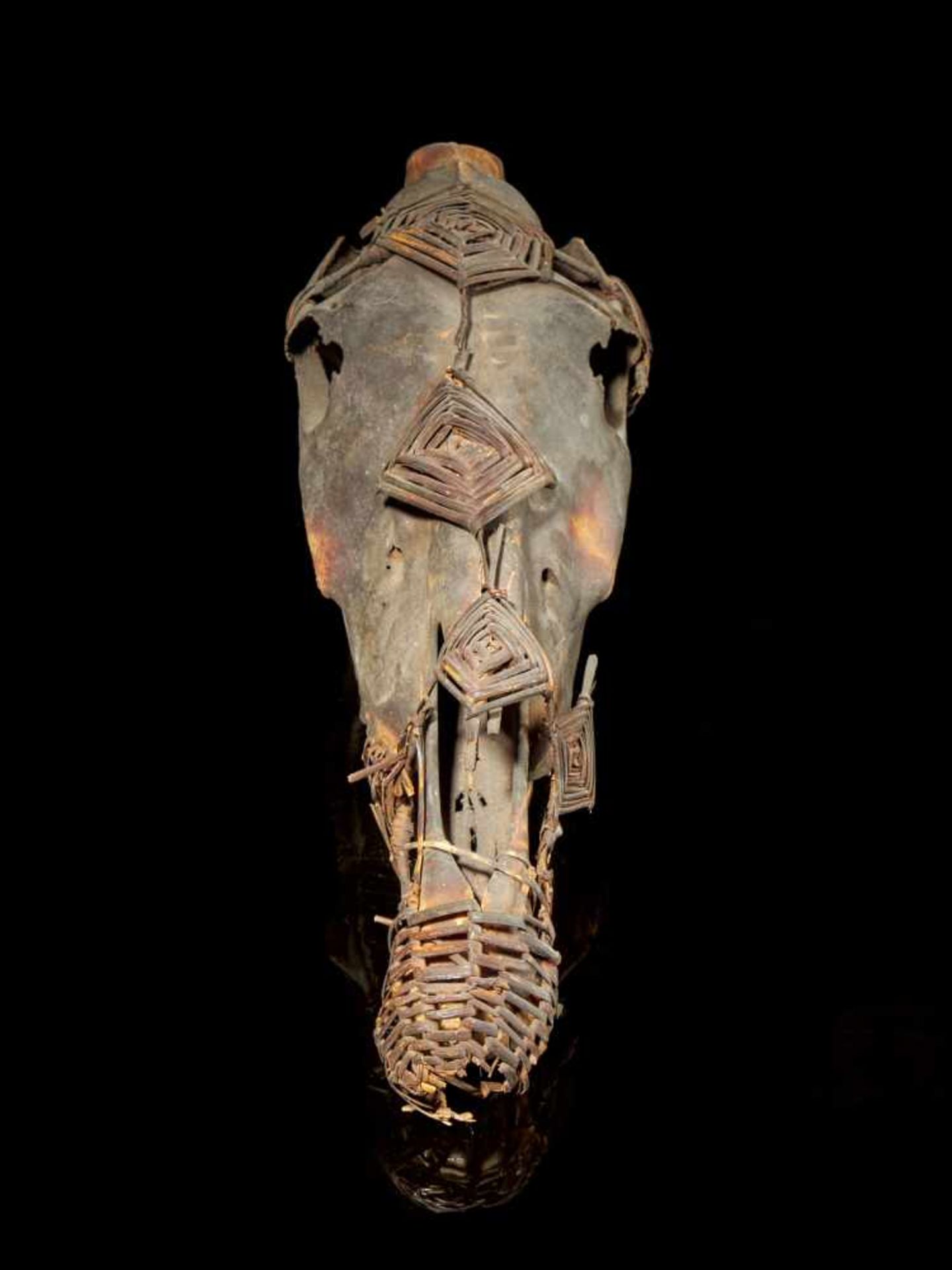Reliquary Horse Skull - Ibo People, Nigeria - Tribal ArtAn old Ibo Reliquary consisting of a horse - Bild 3 aus 4