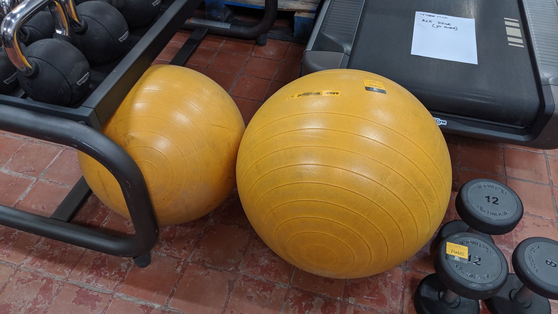 Pair of assorted large Technogym Arke exercise balls. All the lots in this auction are understood to