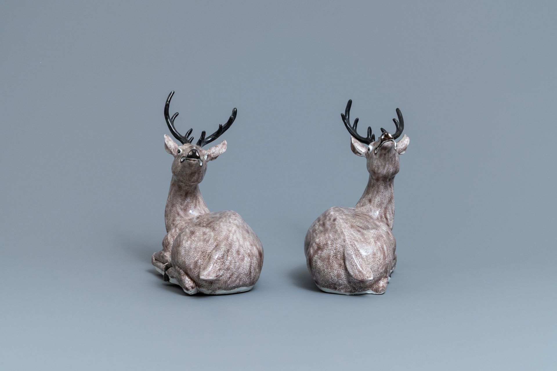 A pair of large Chinese aubergine-glazed models of recumbent deer, 18/19th C. - Image 5 of 7