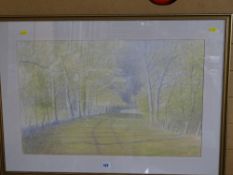 DAVID T WILLIAMS watercolour and pencil study - tree lined country track, signed