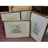 Set of nine gilt framed British birds in a limited edition, painted for Royal Worcester porcelain by