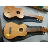 Two modern ukuleles in carry cases