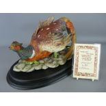 Capodimonte hand decorated model of a pheasant on a wooden plinth, limited edition no. 823/1000,