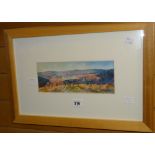 N R HAWKSWORTH watercolour mountain scene, signed & dated 2001, 10 x 25.5cms Condition reports are