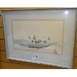 JOHN BUSBY lithograph with added watercolour ornithological study of black-naped & black-noddy