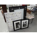 An IKEA bird print, a pair of framed photographs, empty picture frame & a map inserted folding