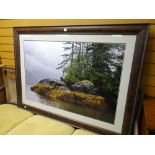 A large limited edition photograph by Thomas D Mangelsen featuring a bear prowling on a rocky