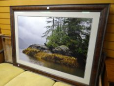 A large limited edition photograph by Thomas D Mangelsen featuring a bear prowling on a rocky