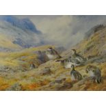ARCHIBALD THORBURN limited edition (109/850) print - Scottish scene with game birds on the ground