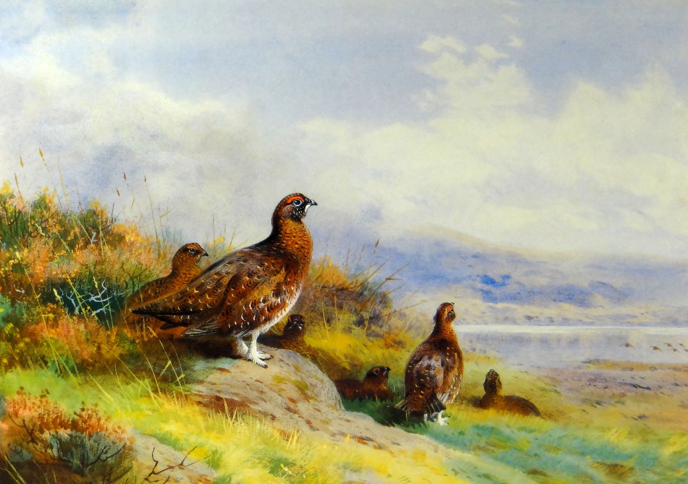 ARCHIBALD THORBURN limited edition (109/850) print - game birds looking out at an estuary, 27 x