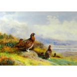 ARCHIBALD THORBURN limited edition (109/850) print - game birds looking out at an estuary, 27 x