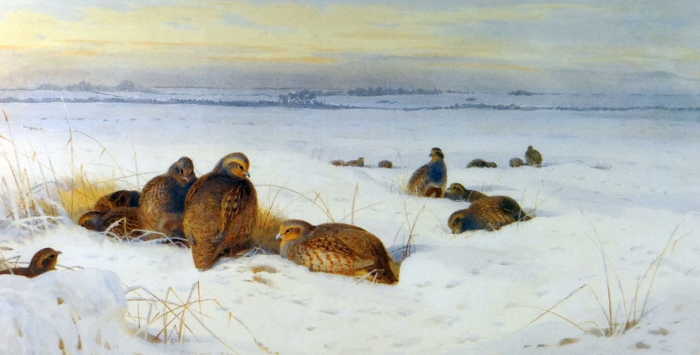 ARCHIBALD THORBURN limited edition (109/850) print - game birds in an expansive snowy landscape,