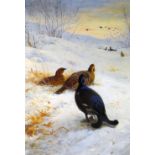 ARCHIBALD THORBURN limited edition (109/850) print - game birds in the snow with ducks in flight, 50