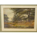C W F S? watercolour - woodland scene, 24 x 34 cms