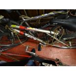Palomar GT multi-gear bicycle