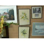 Pair of exotic bird prints, D B MOSSMAN watercolour - alpine scene, an unsigned watercolour -