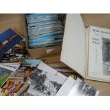 Quantity of mainly 20th Century postcards, a book '250 Views of North Wales' etc