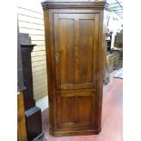 AN ANTIQUE OAK ONE PIECE STANDING CORNER CUPBOARD having a shaped cornice over canted corners,