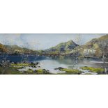 CHARLES WYATT WARREN oil on board - Snowdonia lake with silver birch trees, entitled 'Yr Aran from