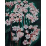 SHEILA KNAPP-FISHER mixed media - still life of flowers, entitled verso 'Red Campion', signed, 35