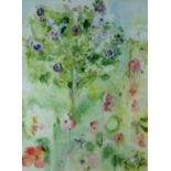SHEILA KNAPP-FISHER watercolour - botanical study, entitled verso 'Tree Mallow and Poppies', signed,