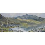 CHARLES WYATT WARREN oil on board - Snowdon from Llyn Cwellyn with silver birches, signed in full,