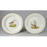 PAIR OF NINETEENTH CENTURY SWANSEA CAMBRIAN POTTERY CREAMWARE PLATES of circular plain non-moulded