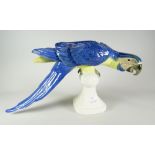 A Royal Dux pottery perched parrot model, 41cms long Condition reports provided on request by