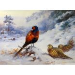 ARCHIBALD THORBURN limited edition (109/850) print - pheasants in the snow, 27 x 38cms
