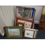 A box of various framed prints and pictures Condition reports provided on request by email for