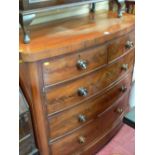 Mahogany bow front chest of two short over three long drawers with turned knobs