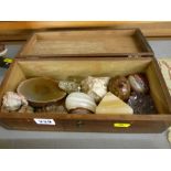 Wooden hinged box with quantity of mineral stone and eggs