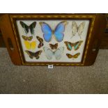 Inlaid tray with butterfly decoration