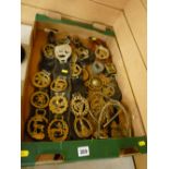 Box of horse brasses on leather straps, stirrups etc