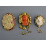 A VICTORIAN CARVED CORAL & PINCHBECK CAMEO, a shell carved cameo and one other (various sizes and